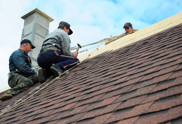 Quick and Trustworthy Emergency Roof Repair Services in Haines City, FL